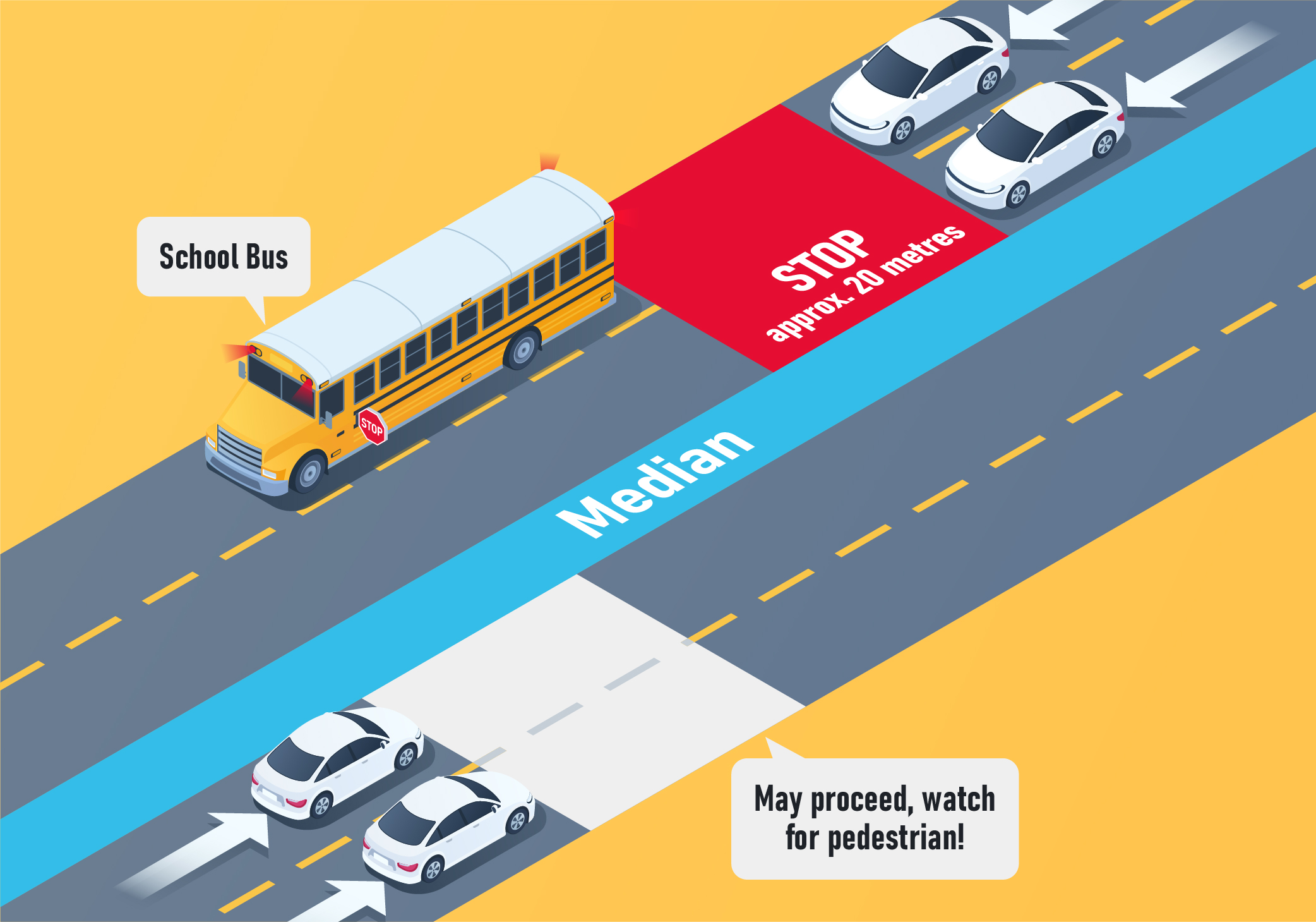 Stopping - Which lanes need to stop for a school bus on a highway that is divided by a median?