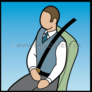 Test 1 - By what percentage does wearing a seatbelt decrease your chance of death in an accident?