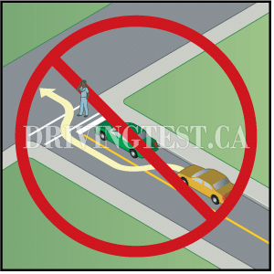 new-brunswick car - If you see a car at a marked crosswalk allowing pedestrians to cross, what should you do?