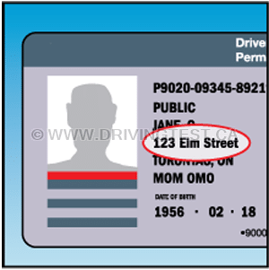 Test 1 - How long do you have to inform the New Brunswick Motor Vehicle Branch of any address or name changes?