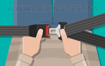 Test 1 - What area of the body should the lap part of your seatbelt be tight across?